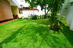 Sect19 grass
