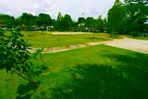 DU field